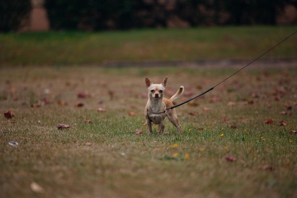 What Strategies Can Enhance the Resilience of Healthcare Systems to Climate Change?